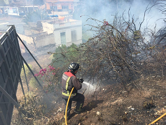 2016 06 10 PHOTO 00025380