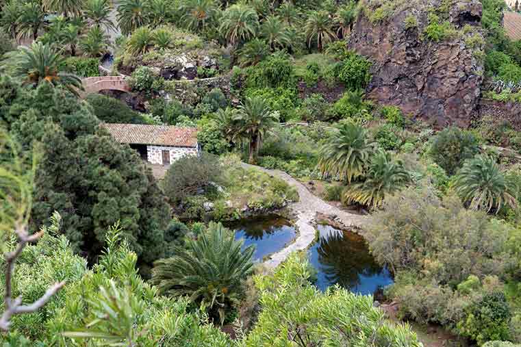 El Jardín Botánico de Gran Canaria bate récords de visitantes con más de 150.000 asistentes El Jardín Botánico de Gran Canaria bate récords de visitantes con más de 150.000 asistentes
