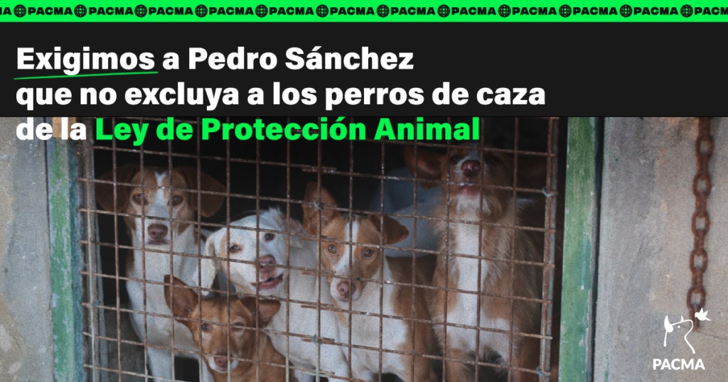 Protección animales em EL PAÍS Brasil