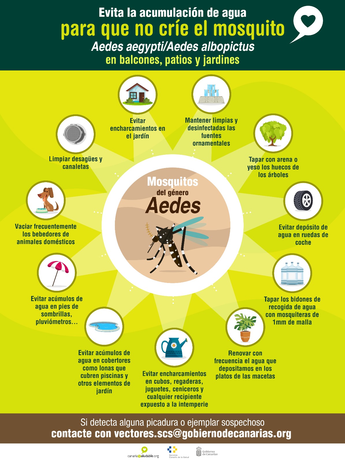 Cartel mosquitos Aedes